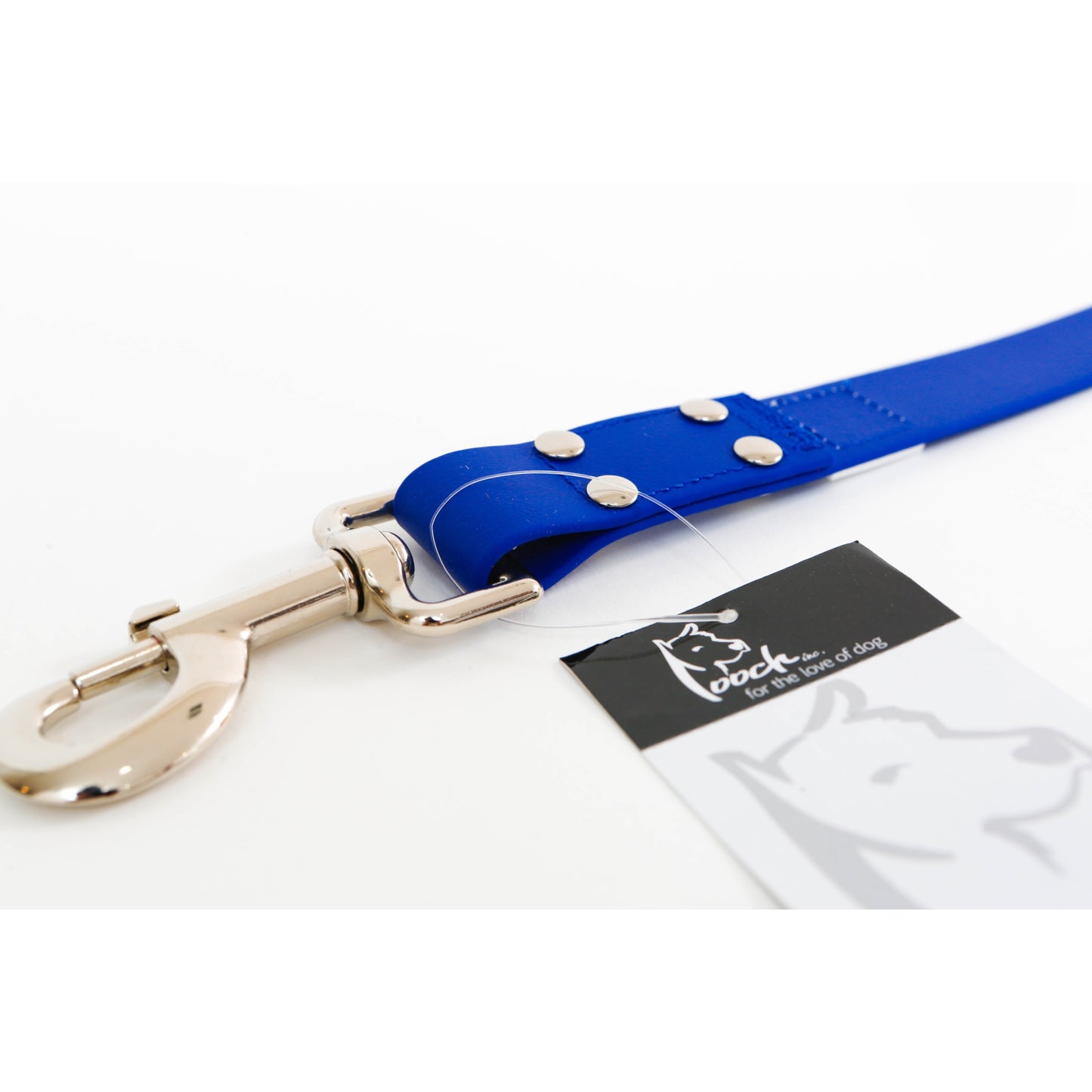 Pooch Blue Leash