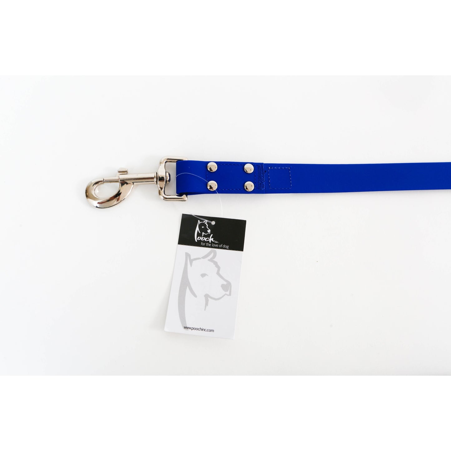 Pooch Blue Leash