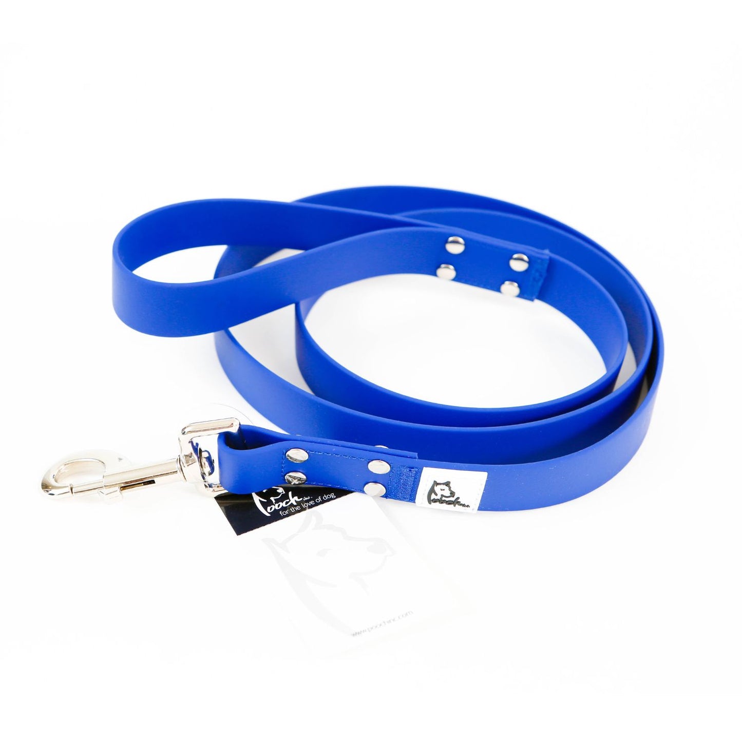 Pooch Blue Leash