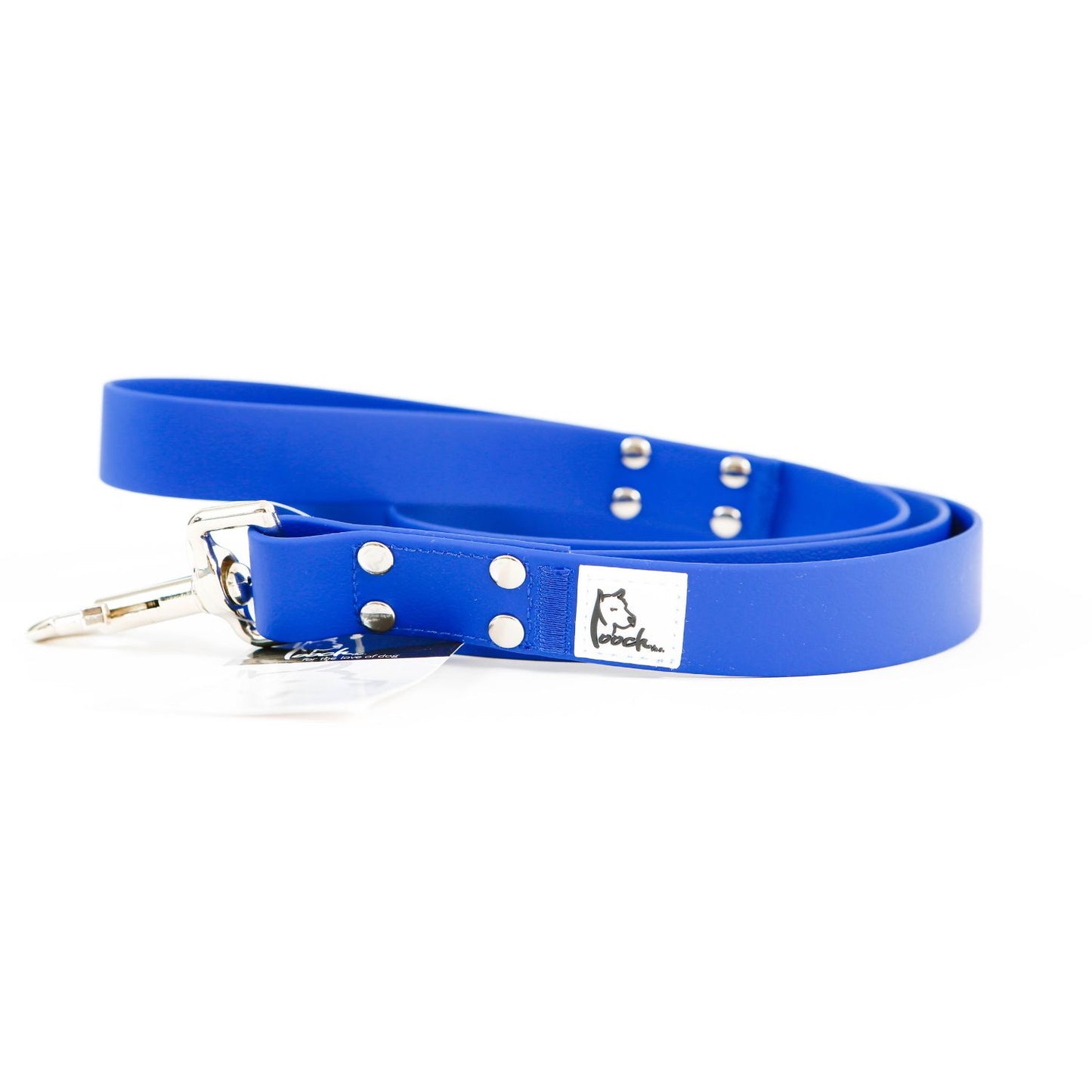 Pooch Blue Leash