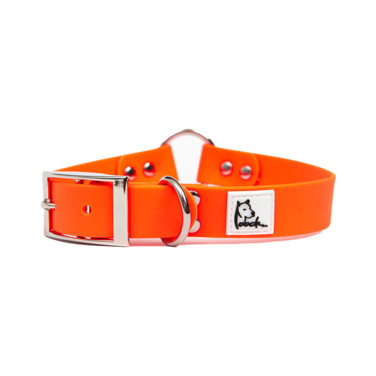 Neon Orange Dog Collar