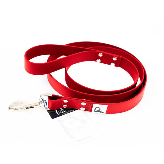 Pooch Red Leash